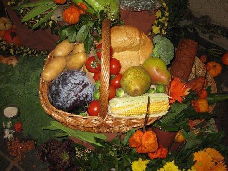 OOGSTDIENST Dankdag voor gewas en arbeid Liturgie voor de dienst van de Protestantse gemeente Lank Meamert op zondag 4 november 2018 ~ de 7 e van de herfst ~ om 9.