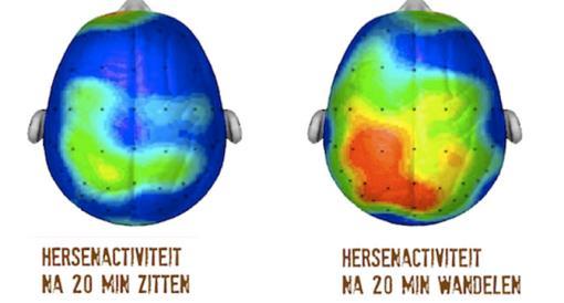 ervaren Hierdoor in staat anderen te begrijpen, ons in te