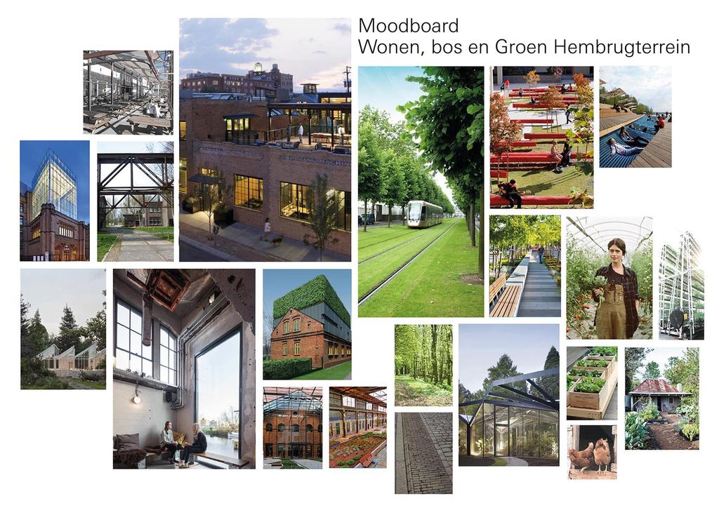 Zie bijlage 1: Moodboard Wonen, bos en groen Hembrugterrein Deel II: Thema Wonen, Bos en groen De opbrengsten van de startbijeenkomst (februari) zijn verwerkt in een praatplaat.