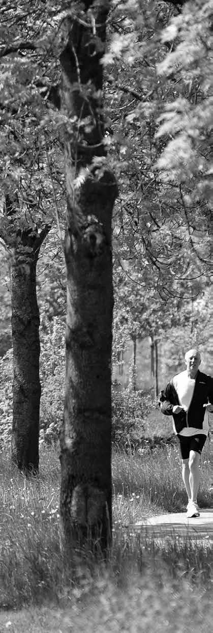 SAMEN BOUWEN NAGTEGAEL SURRIE Beilen ligt in het prachtige hart van Drenthe. U vindt er een enorme verscheidenheid aan natuur, cultuur en ontspanning.