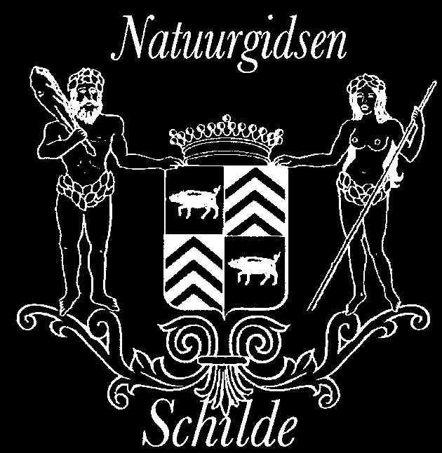 Plaats: Lodewjk De Vochtplen, Schlde ( s-gravenwezel) Open Monumentendag: de kasteelkelder van Schldehof zondag 10 september van 10 tot 18 uur