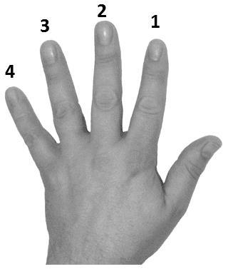 DE LINKERHAND De vingers van de linkerhand worden aangeduid met cijfers: 1 wijsvinger middelvinger ringvinger 4 pink Onze duim heeft geen naam want die gebruiken we niet!