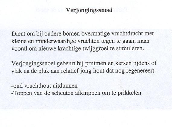 Verjongingssnoei gebeurt bij pruimen en kersen tijdens of vlak na de pluk aan relatief jong hout dat nog