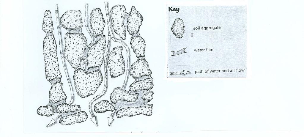 Landbouwetenskappe/V1 12 3.6 ie onderstaande diagram toon die beweging van water en lug in grond: Sleutel Grond-aggregaat Waterfilm Roete van water- en lugvloei 3.6.1 3.6.2 3.6.3 In watter tipe grond sal jy gewoonlik porieë met 'n balans tussen waterbeweging en deurlugting vind?