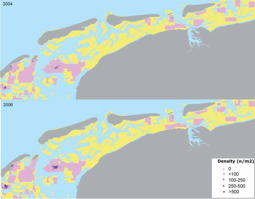 Appendix 6: Distributional maps of Common and Abundant macrozoobenthic species.