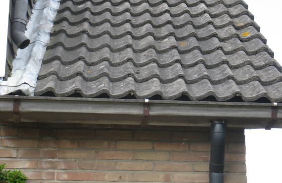 Voor de Gierzwaluw vormt de bebouwing vanwege de aanwezigheid van openingen onder de dakpannen eveneens een geschikte verblijfplaats (foto s 8 t/m 10).