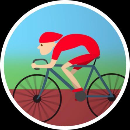 000 fietsritten Overige motieven - Motiefverdeling
