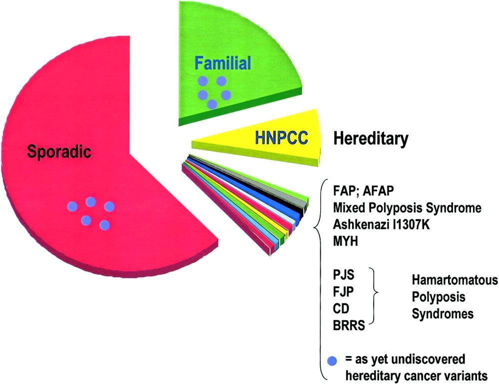 Prevalence of hereditary cancer among breast cancer patients 20-25%: Familial Cancer Positive family history No known genetic cause Relatives: 2-3 times