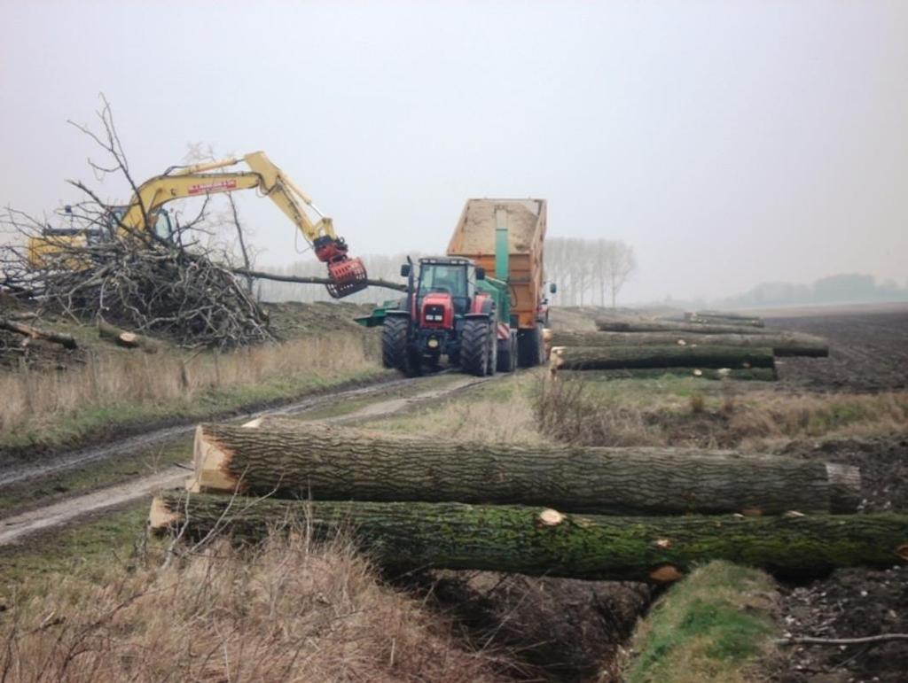 Maar in Nederland geoogste biomassa voor bioenergie zijn geen hele bomen Tak- en tophout wordt gechipped en wordt gebruikt voor productie