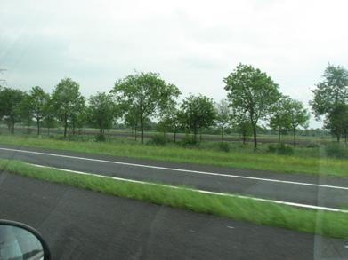 De infrastructuurbundel volgt de kavelstructuur en doorsnijdt daardoor weinig landschappelijke structuren.