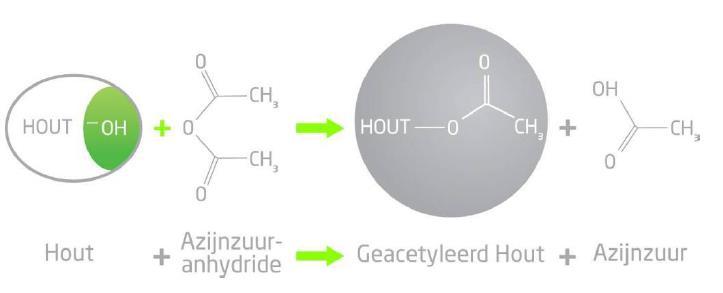 PROFIELEN Geacetyleerd hout Reactieve hydroxylgroep Lager evenwichtsvochtgehalte Hogere
