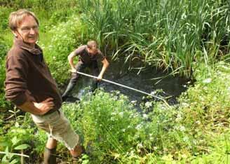 plus water en oeverplanten