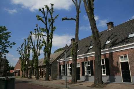 Locatie Plaats: Duizel Straat en nummer: Smitseind voor 26 tot en met 32 4_MB_054_1 tot en met