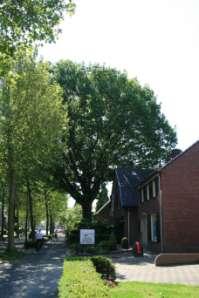 Locati e Plaats: Eersel Straat en nummer: