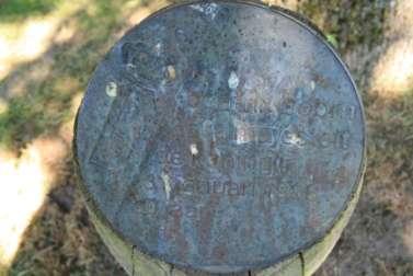 Boom Nederlandse naam: Winterlinde, Kleinbladige linde