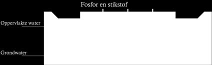 minerale fosfaatverbindingen Levende organismen zijn goed in staat om deze minerale fosfaten weer