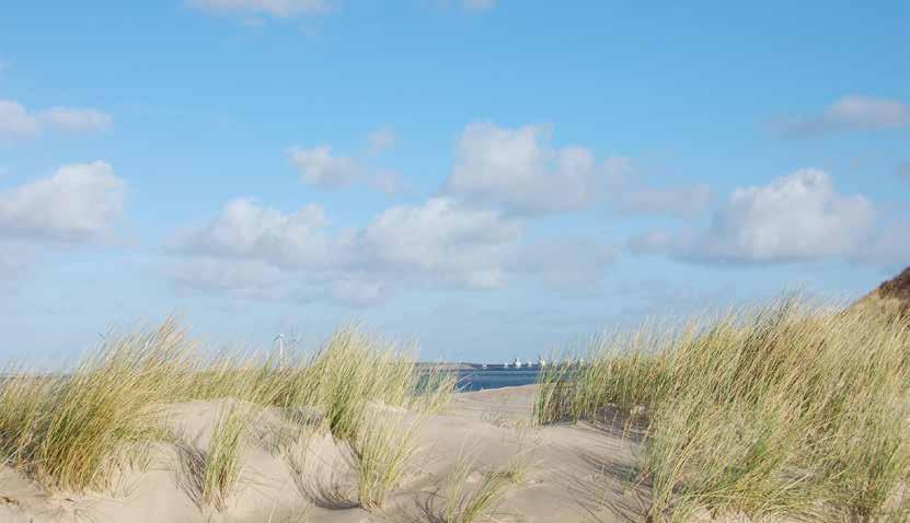 3. Koester de Kust 8 De kust van Schouwen-Duiveland is ons grootste bezit. Zij beschermt ons tegen de zee en verschaft ons een schat aan natuur en rustbeleving.