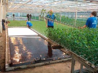 Aan deze proef ging meerjarig onderzoek vooraf bij Wageningen University & Research Glastuinbouw in Bleiswijk naar emissievrije teeltsystemen. Dit onderzoek liep van 2009 tot 2011.