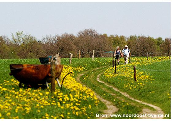 Verticale relaties tussen bodem, reliëf, water en vervolgens de functies, zijn hierin van groot belang voor het beeld van het huidige landschap.