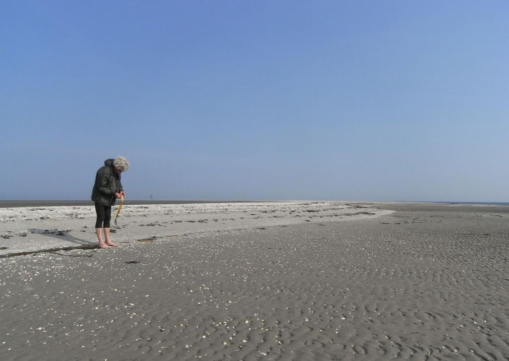 Het Wad (R.I.P.