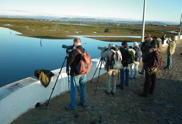 Vogelspotten in de Ria Formosa 5 Over deze gids De Gids voor Vogelspotten in de Algarve, opgesteld door het Bureau voor Toerisme van de Algarve, beoogt een eenvoudig en efficiënt instrument in het