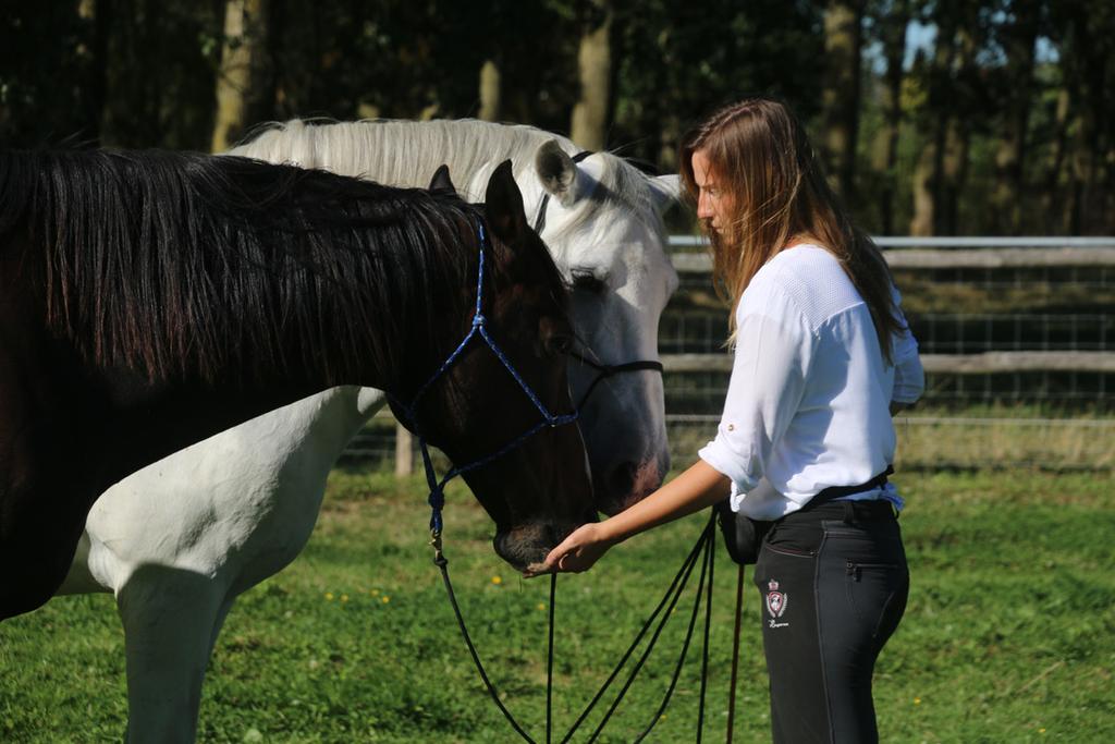 Heb je honger naar méér in de relatie met je paard?