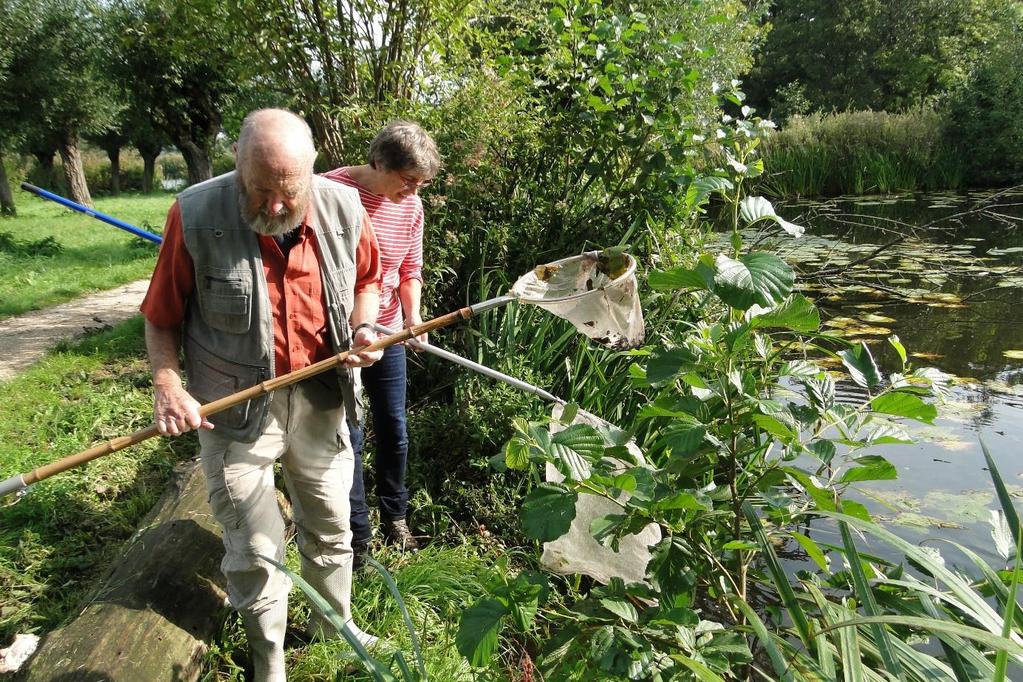 Locatie 2: een veel kleinere plas