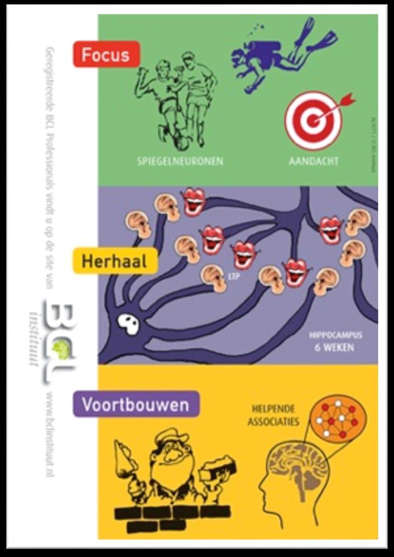 3 3 structurerende breinprincipes Maak het aandachtig, nuttig, voorstelbaar en realistisch (visualisatie, context mee laten leren, focus einduitkomst) Herhaal om niet te