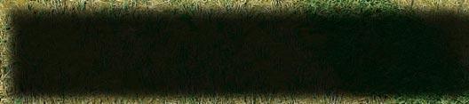 FC DE MAAIKNIKSCHUDDERS VAN KUHN MET LIFT-CONTROL FC 243 RGII / FC 283 RGII: bij vlinderbloemige (kwetsbare) gewassen 14 Voor het maaien van gevoelige gewassen zoals luzerne en klaver is de
