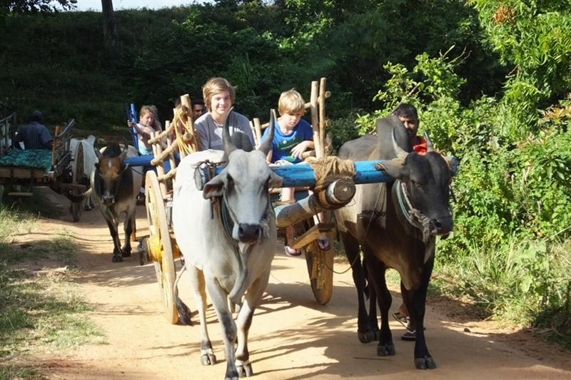 Deze oude hoofdstad van Sri Lanka was in de 10de en 11de eeuw de belangrijkste stad van het eiland.