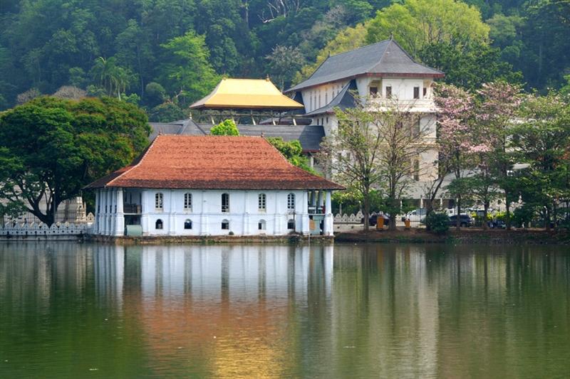 Dag 7: Kandy / Excursies Botanische tuinen, Tempel van de Tand en Kandydansers Vrije dag. De culturele hoofdstad Kandy, gelegen in weelderig tropisch heuvelland, heeft tal van bezienswaardigheden!