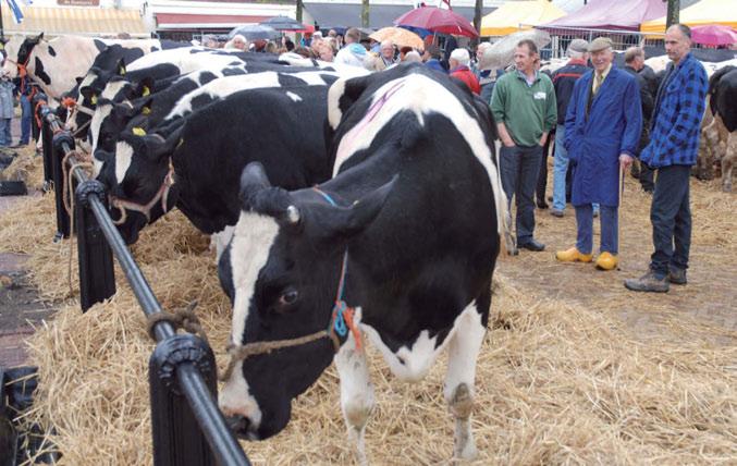 Aandacht voor melkveehouderij op Wereldmelkdag Op 1 juni was het Wereldmelkdag. In Nederland een relatief onbekend begrip. Toch wordt deze dag al sinds 2001 wereldwijd georganiseerd.