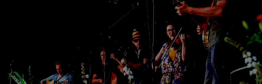 DINSDAG 6/02 om 20u Live Music: SOUTHERN HARMONY Op ons podium: een accoustic stringband die de pannen uitswingt.