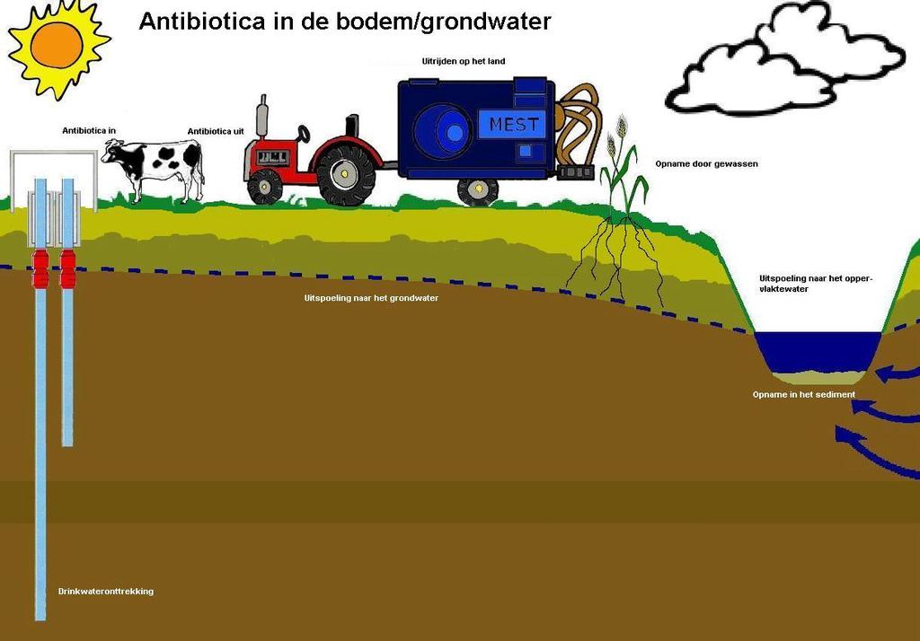 1. Inleiding 1.1 Onderwerp en onderzoeksvraag Studieobject is de vraag of en zo ja, in welke mate het gebruik van dierlijke mest leidt tot milieubelasting met antibiotica.
