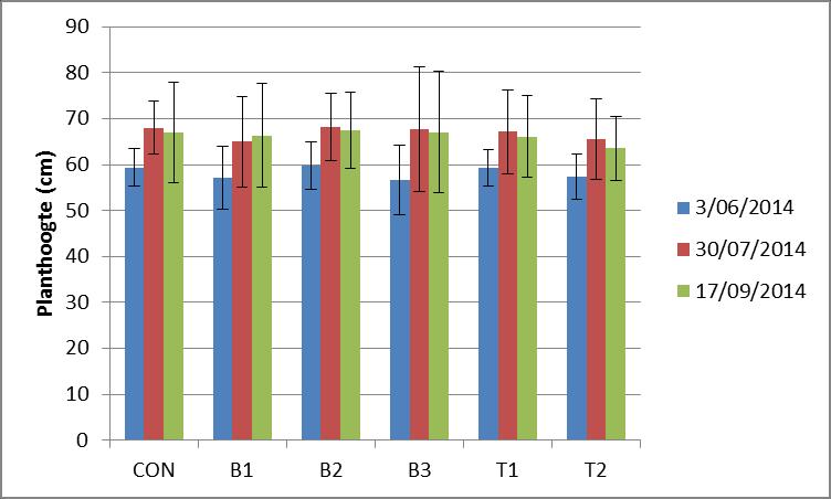 Resultaten 2014 - Hibiscus Geen verschillen in hoogte Visueel