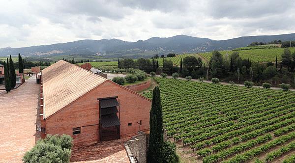 Mediona De wijngaarden Can Massana, Alzinetes, El Prat, Mas Pagès en Can Soler werden later verworven. Liggend op steile hellingen op 500 tot 750 m hoogte.