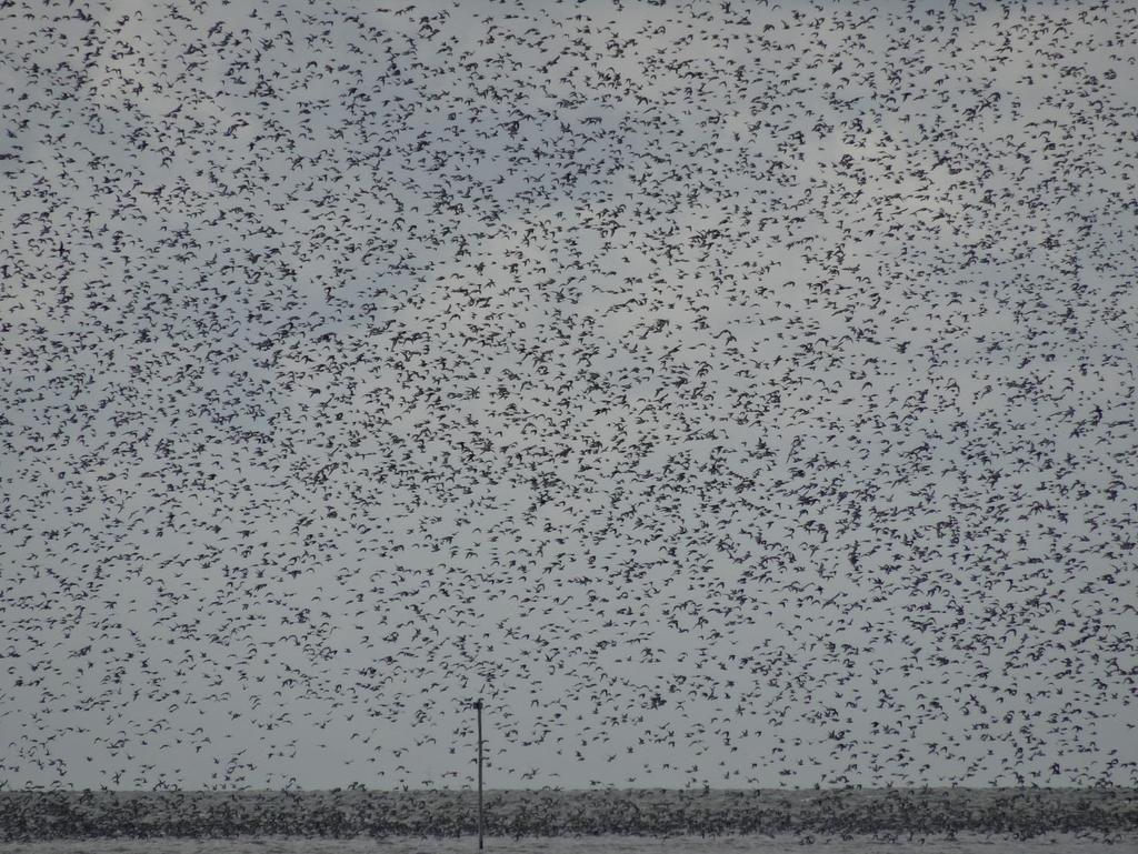 In de week erna sloeg het weer om en kregen we de eerste herfststorm.