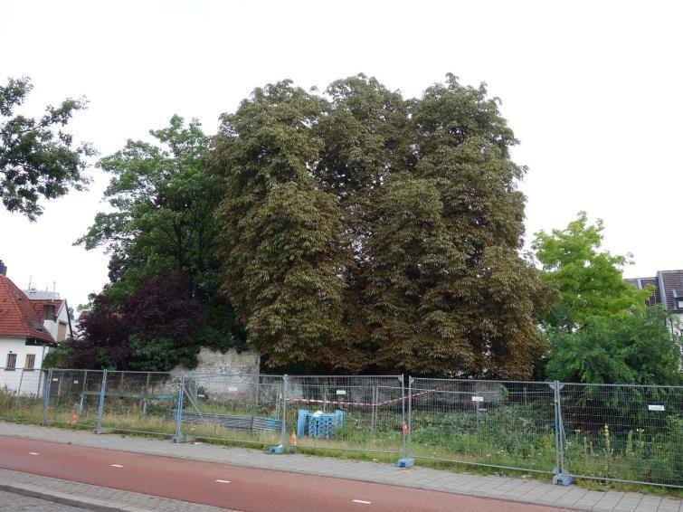 1. 2 Object- en locatieomschrijving Terreinbeschrijving De bouwlocatie is een braakliggend terrein aan de noordzijde van de Amsterdamseweg ter hoogte van het Centraal Station.