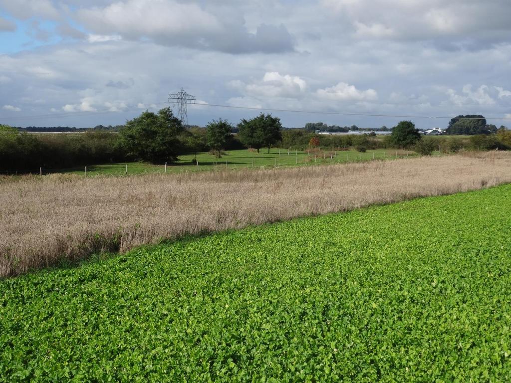 Op bedrijfsniveau 1 ANLb Agrarisch natuurbeheer o akkerranden o