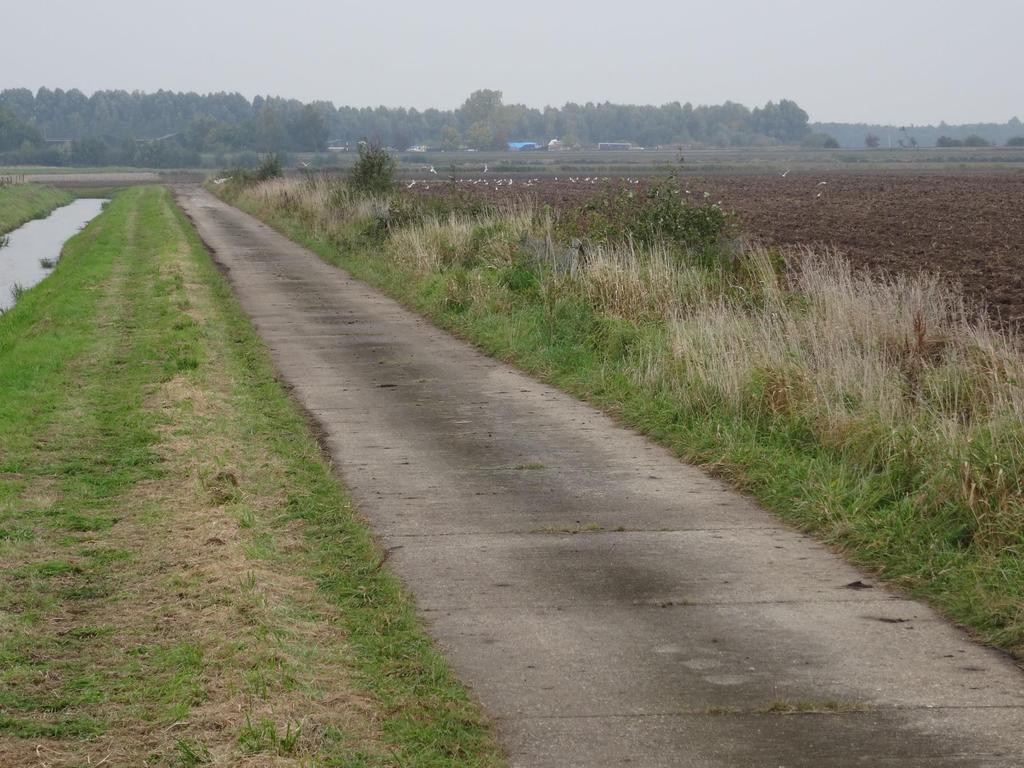 Op bedrijfsniveau 1 ANLb Agrarisch natuurbeheer o akkerranden o