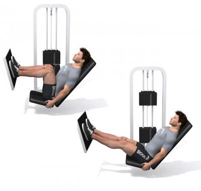 Seated leg press machine kg Quadriceps, Bilspieren - Benen Toestel instellen naar de