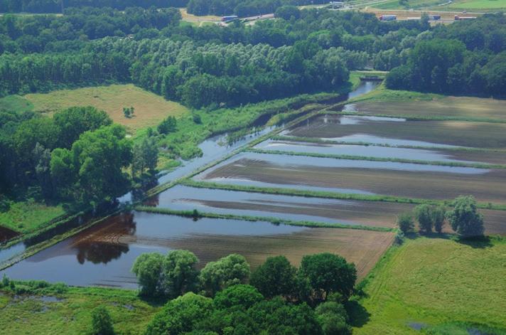 Waterpanel Noord Waterpanel Noord is de samenvoeging van twee waterregio s die nauw met elkaar samenwerken (Limburgse Pelen en Venlo- Venray) en telt 15 gemeenten.