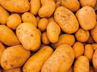 journaal Aardappels minder gezond dan gedacht? Aardappels gelden als gezond en staan afgebeeld bij de Nederlandse Schijf van vijf van het Voedingscentrum.