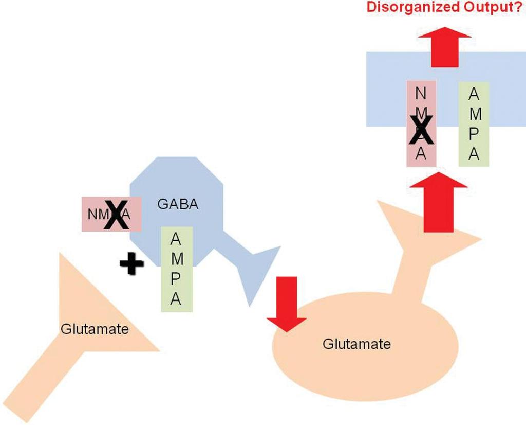 NMDA receptor deficits on GABA interneurons disinhibit glutamate release in PFC and hippocampus