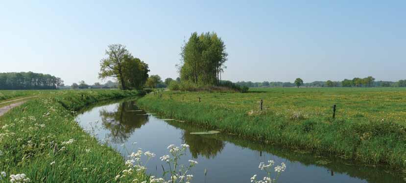 Weteringse Broek Met welke andere kwaliteiten van de ondergrond moet ik rekening houden?