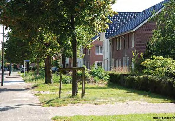 Gebiedsgericht grondwaterbeheer: schoonmaken + energie leveren + natuurontwikkeling De Gemeente Apeldoorn is koploper in Nederland op het gebied van gebiedsgericht grondwaterbeheer.