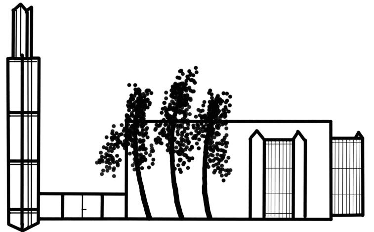 zondagsbrief 25 juni 2017 HARTELIJK WELKOM IN DE PETRAKERK 1 e zondag van de zomer Viering van schrift en tafel Kleur: Groen Groen is de kleur van de natuur in de