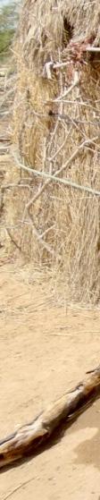 Elke dag loop ik acht kilometer, op zoek naar water Sauda is één van de duizenden mensen in Tana River die is getroffen door de droogte.