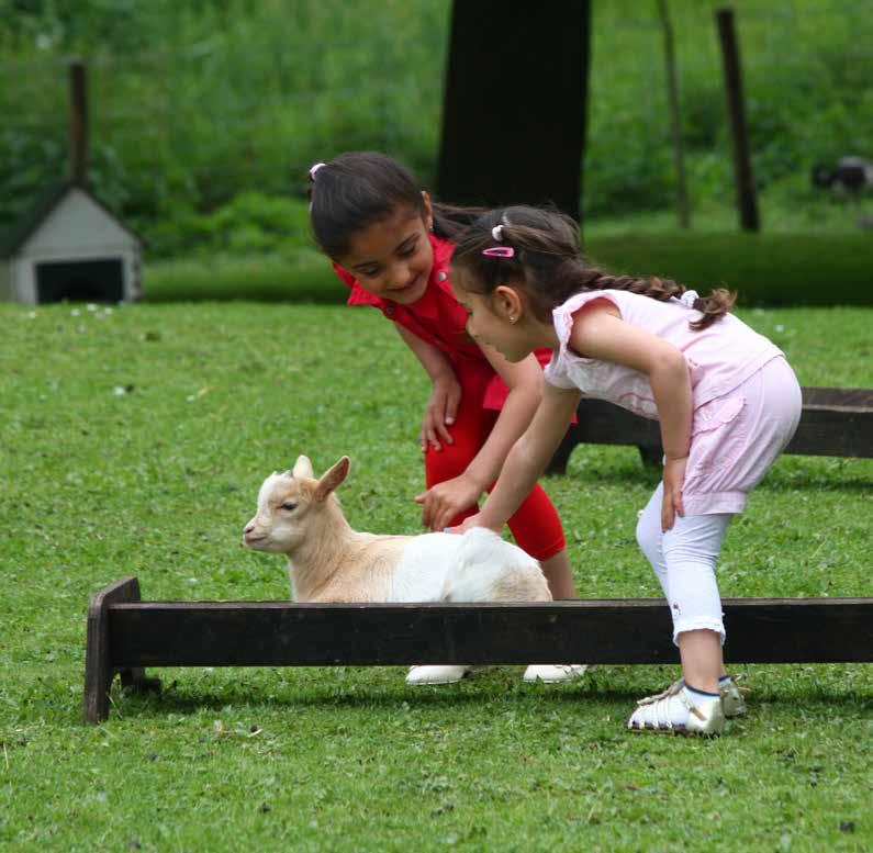 BRANCHE 2014 KINDERBOERDERIJEN Foto: kinderboerderij de Schouw, Zutphen Nergens in