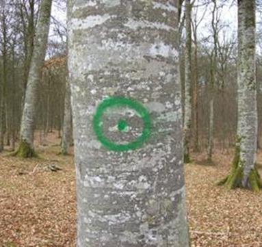 4.3.3 Uitwerken van een aanduidings/herkenningssysteem voor koloniebomen Het aanduiden van ecologisch waardevolle bomen in het veld via duidelijk herkenbare merktekens wordt in Frankrijk (arbre